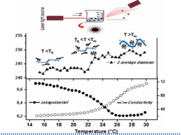 Research Image 11