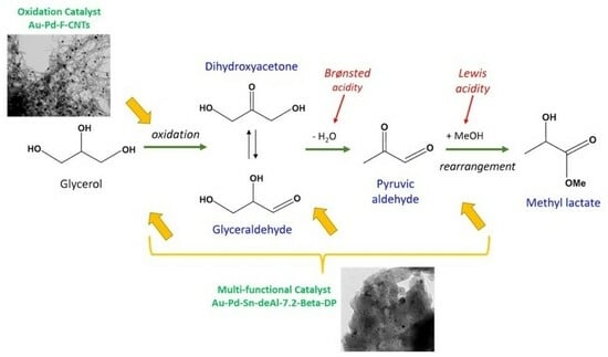 Research Image 12