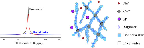 Research Image 21