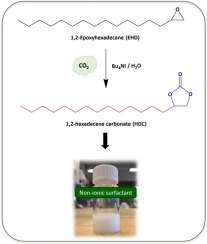 Research Image 25