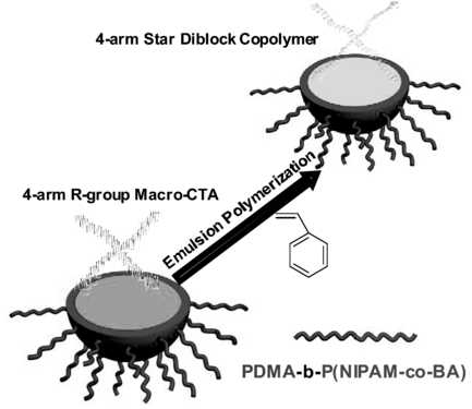 Research Image 37
