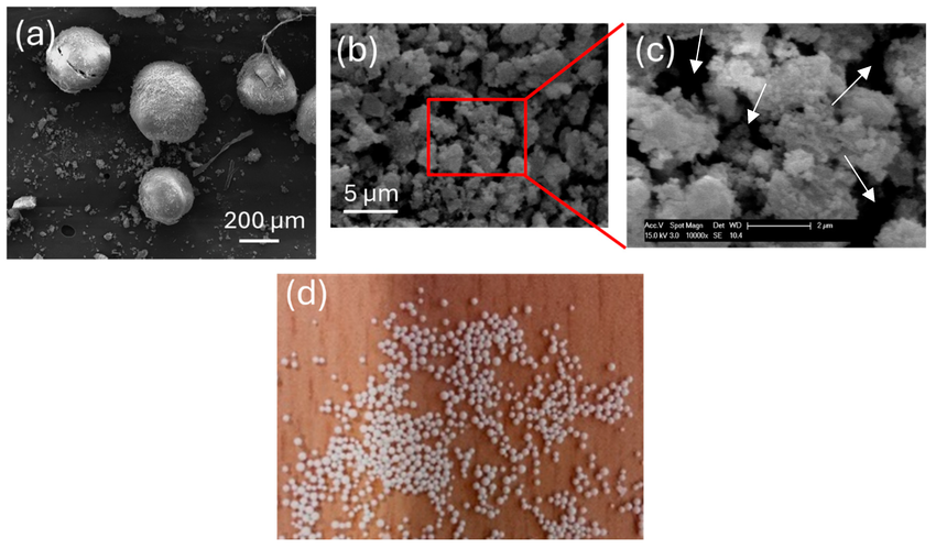 Research Image 4
