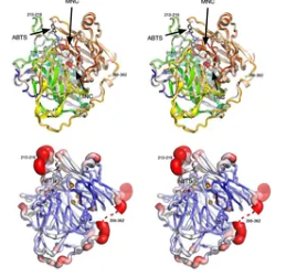 Research Image 5