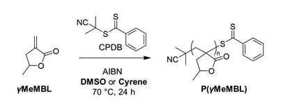 Research Image 8